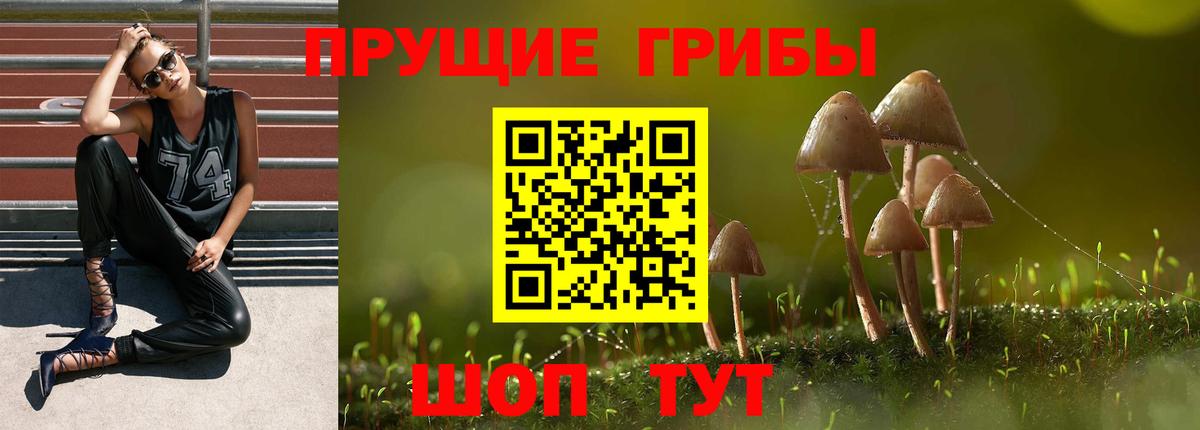 сколько стоит  Вход с VPN  Великие Луки  Псилоцибиновые грибы Magic Shrooms 